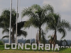 El color de Concordia 2014