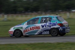 Pato al agua