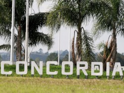 El Color de Concordia II 2014