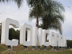 El Color de Concordia 2015