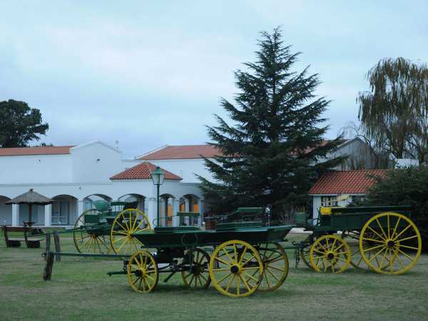 El Color de La Pampa 2016